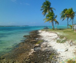 Palmeras y mar Fuente: Panoramio Foto: Orlando 42